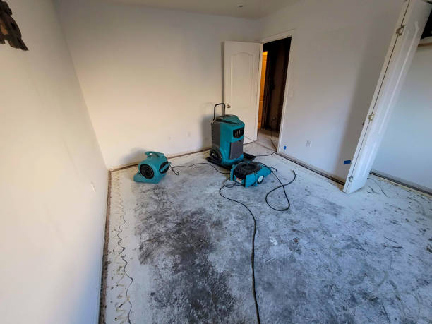 Best Water damage restoration company  in Ol, LA