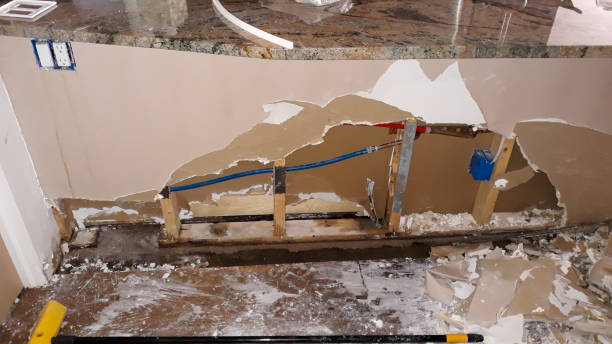 Best Mold removal after water damage  in Ol, LA