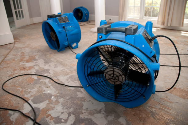 Best Fire Damage Restoration  in Ol, LA