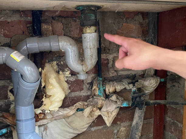 Best Flooded house restoration  in Ol, LA