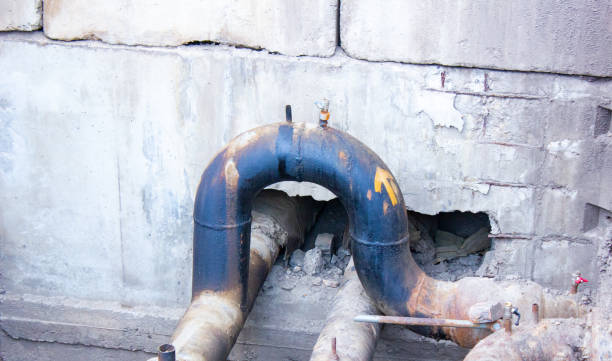 Best Water damage contractors near me  in Ol, LA