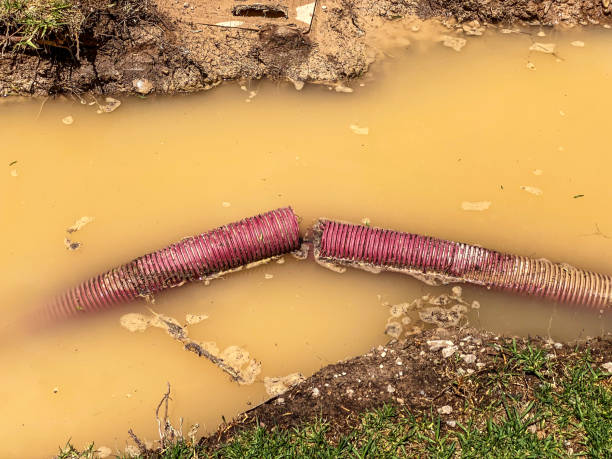 Olla, LA Water damage restoration Company