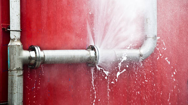 Best Water damage restoration near me  in Ol, LA