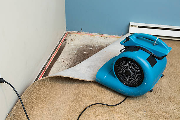 Best 24/7 water damage repair  in Ol, LA